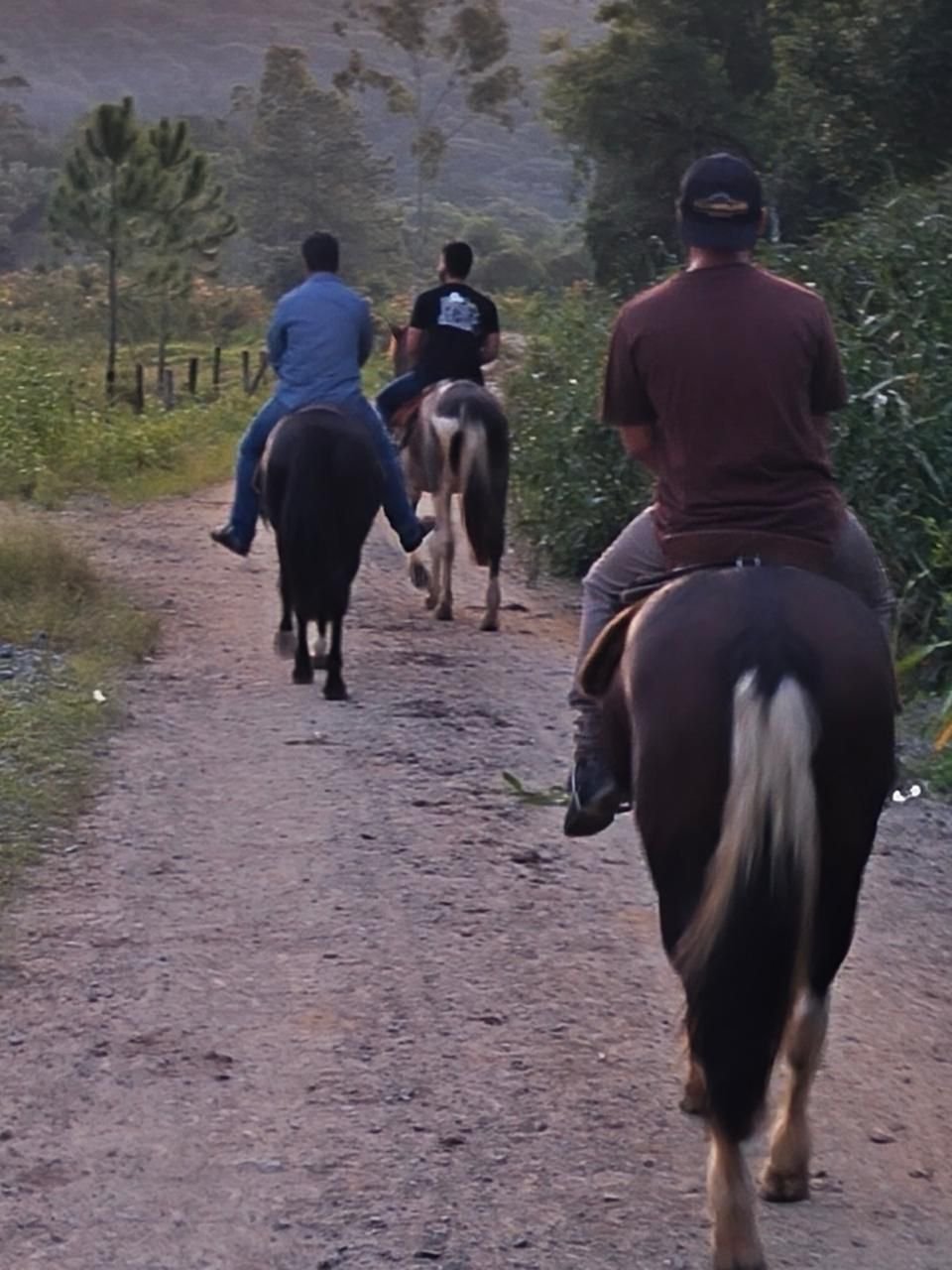 Centro Terapêutico Masculino - Aracuari - Santa Catarina